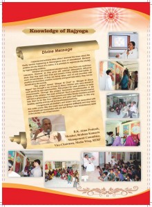 D N Annual Report English Final-1_Page_15